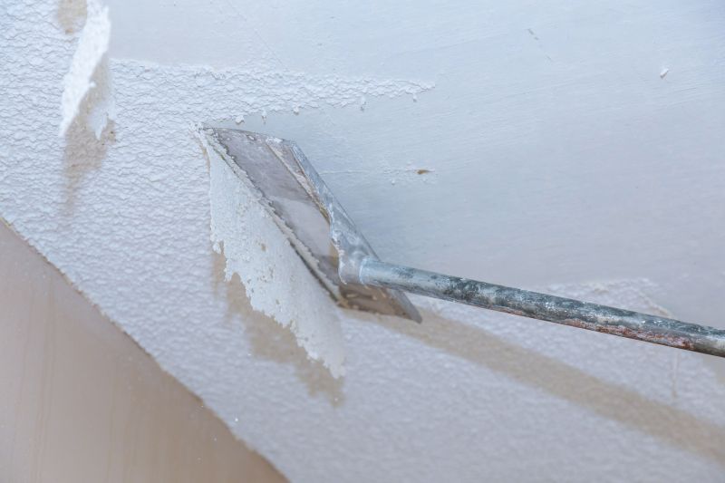 Ceiling Texture Removal